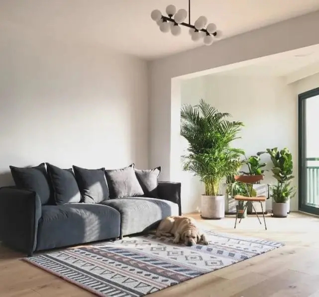 陽(yáng)臺(tái)要不要裝推拉門？客廳和陽(yáng)臺(tái)裝門與不裝門的優(yōu)缺點(diǎn)